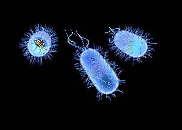 今日科技话题细菌马达结构水质检测技术古喙鸟幼体新冠病毒nasa毅力号