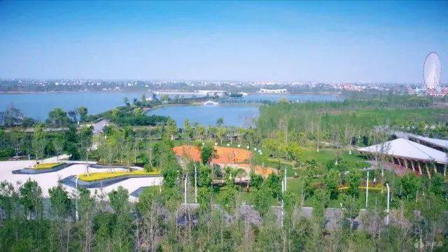 五彩嘉兴美镇蝶变走进油车港镇①余仁义来银杏天鹅湖邀您一起看未来