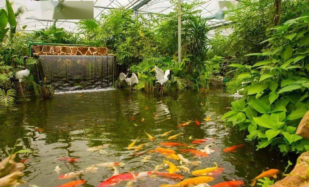 花 海 畅 游↓↓↓附近的亳州市植物科普园也别有一番乐趣除了壮观