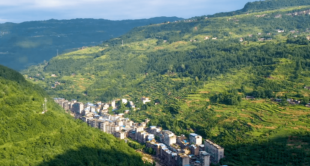 明天双土映山红节开幕去现场or看直播选一个