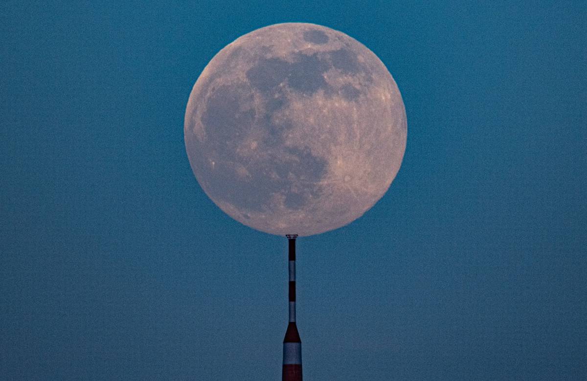 夜空|“超级粉红月亮”在世界多地惊艳登场