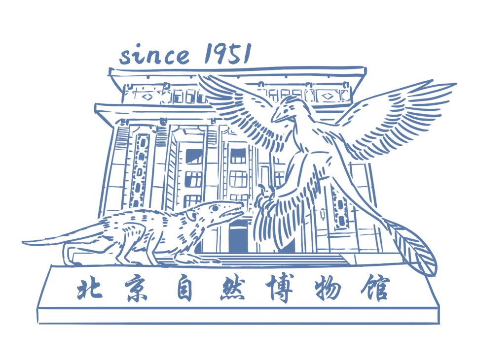 202104·02纪念印章北京自然博物馆戴口罩 勤洗手多通风 少聚集