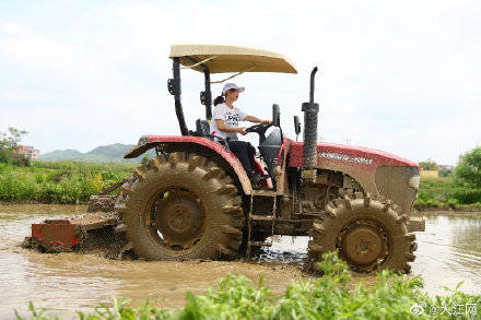 贷款|卫星遥感信贷覆盖江西41县 助江西新农人种稻1800亩