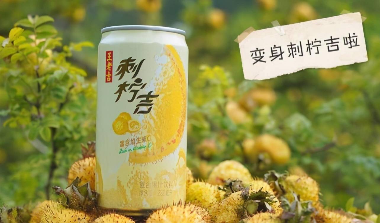 广药集团帮扶贵州发展刺梨产业的案例入选国扶办"中国企业精准扶贫50