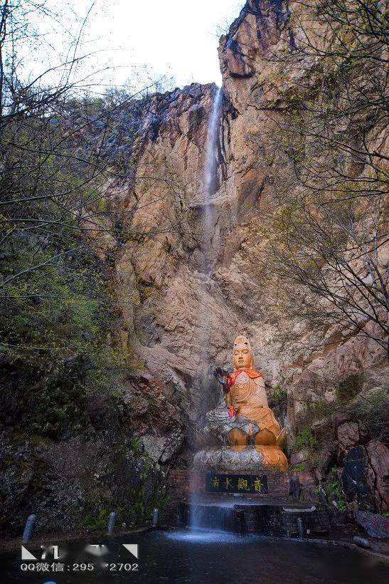 ◣九岳视界◥ 西镇吴山:山下花海,山上巍峨_白鹃梅