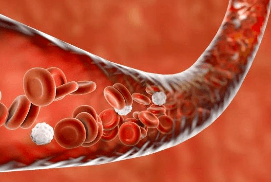 血藥濃度(plasma concentration)係指藥物吸收後在血漿內的總濃度