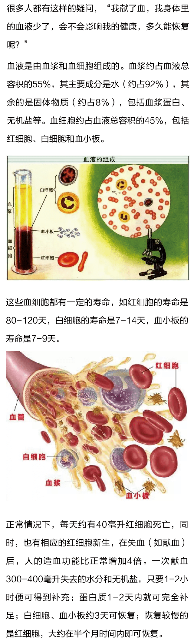 献完血多久才能恢复