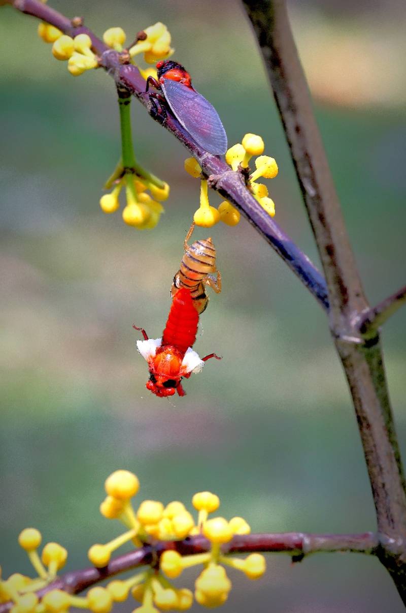 蜕变图片唯美图片