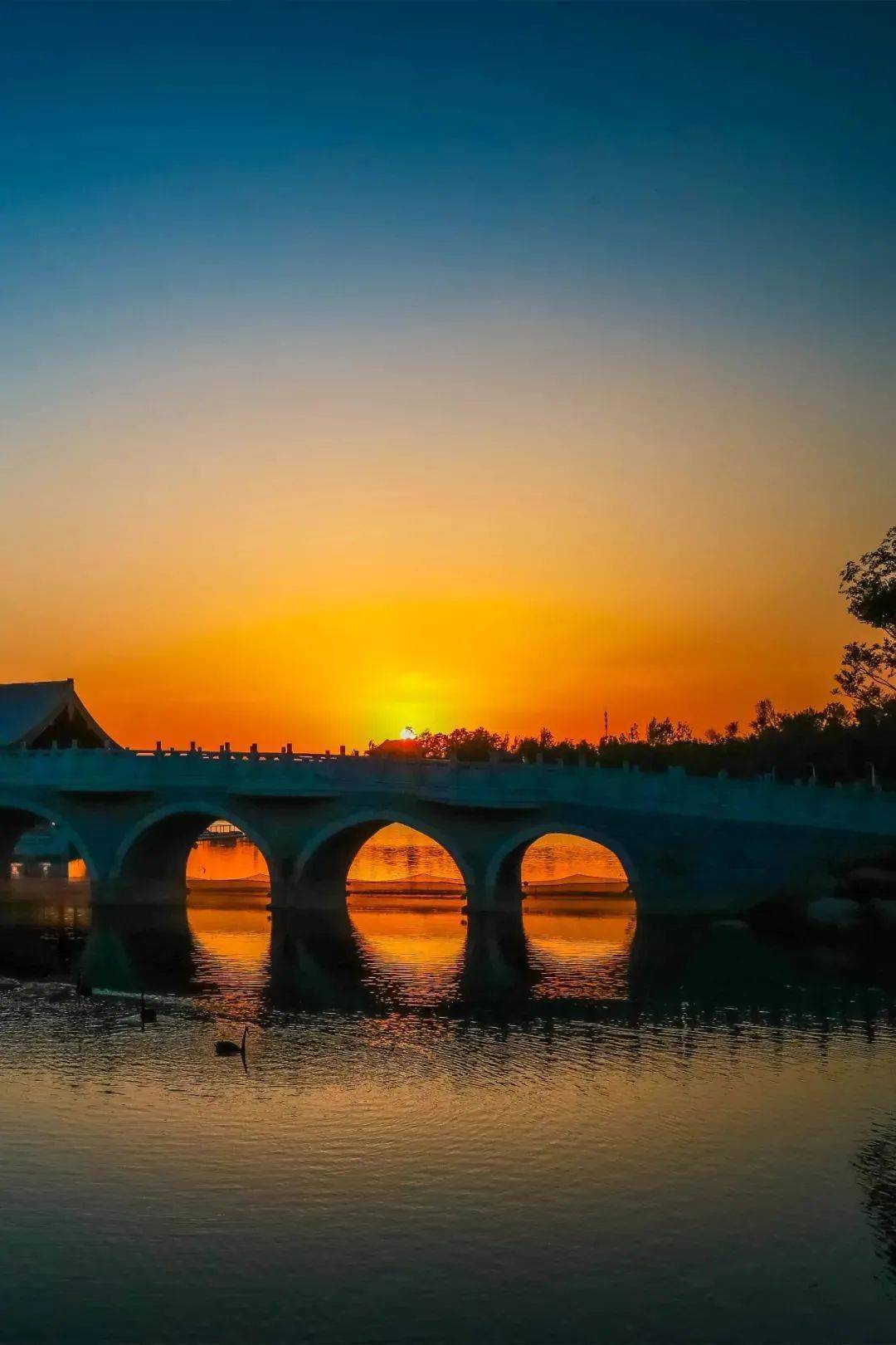 嗨玩五一园博园放大招了