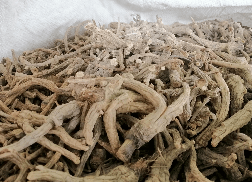 绥阳:优质中草药前胡寻买家