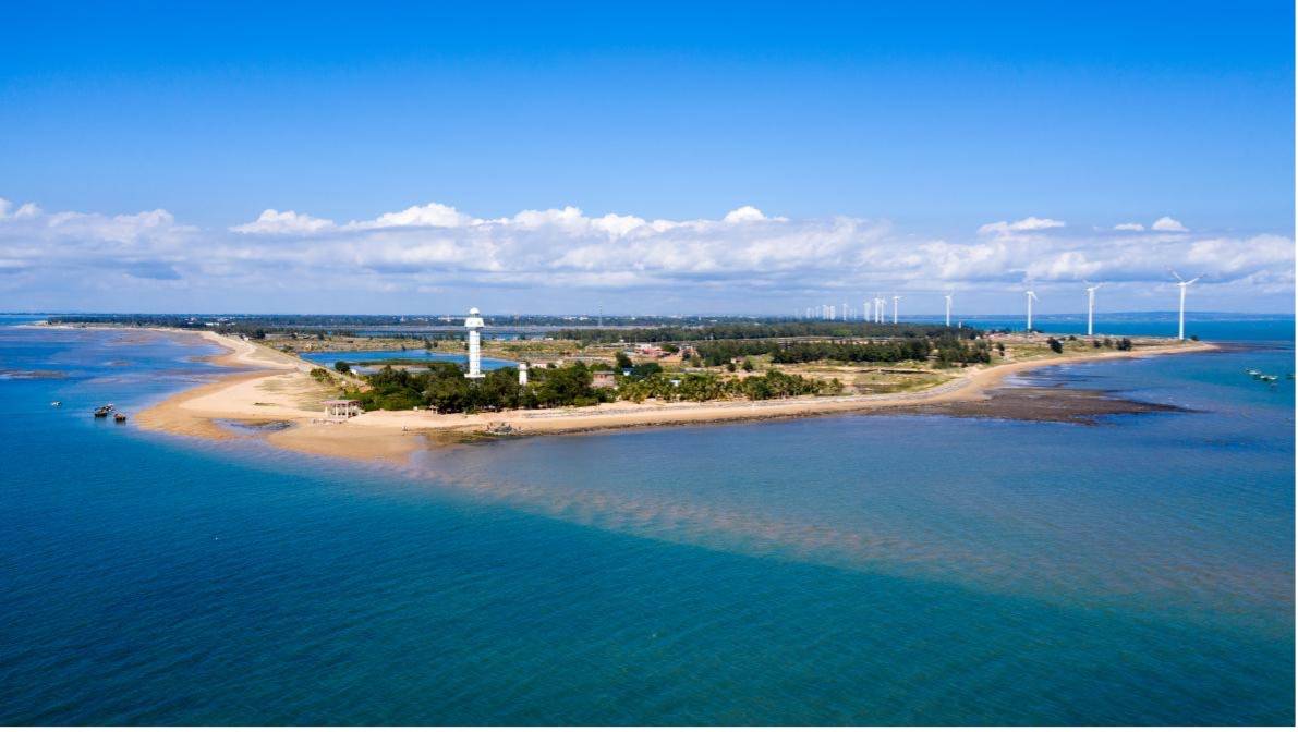 五一粤游粤有味:看第一缕阳光,吃一口脆甜菠萝,品一杯蜜香蝉茶_徐闻县