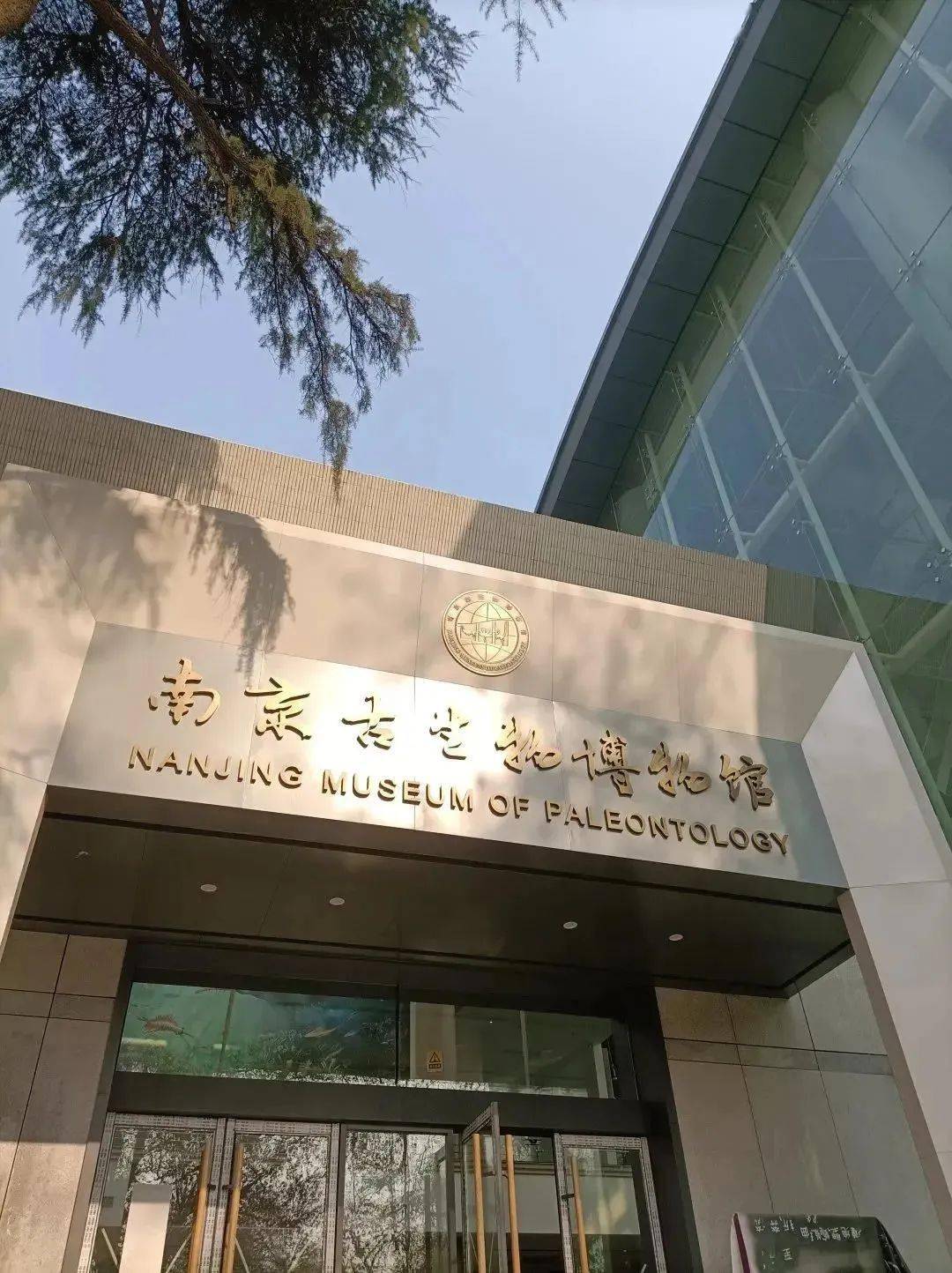 第二课堂南京古生物博物馆现向全校招募志愿者啦