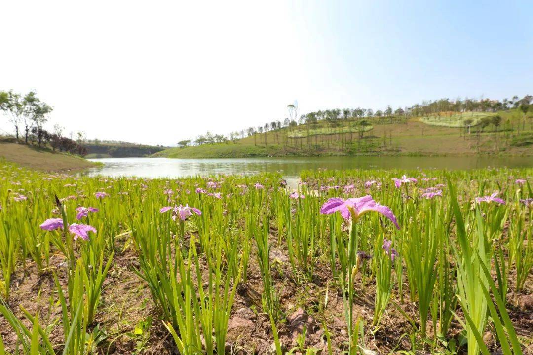 五一小长假来沙坪坝的公园和步道抓住阳春三月的尾巴