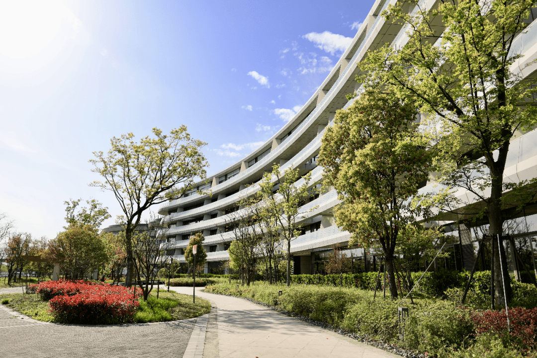 47万平方米森兰湖昨晚揭开面纱浦东最大绿肺预计2024年建成开放一起来