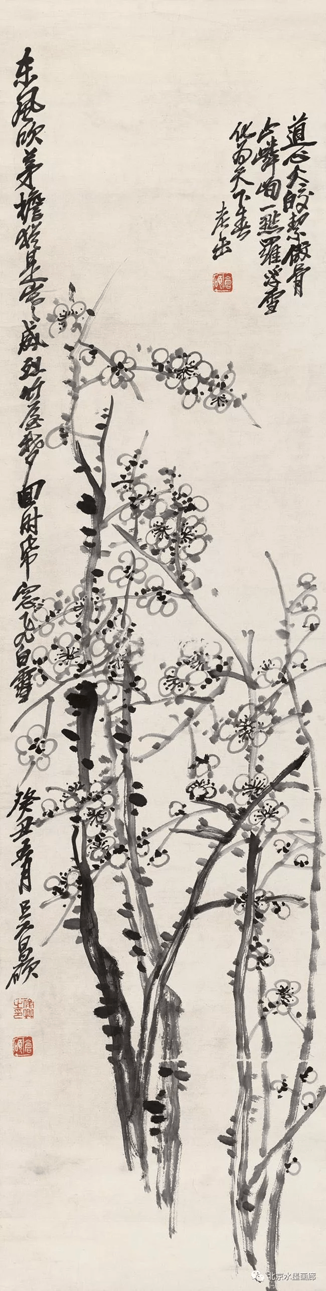 吴昌硕笔下的墨梅