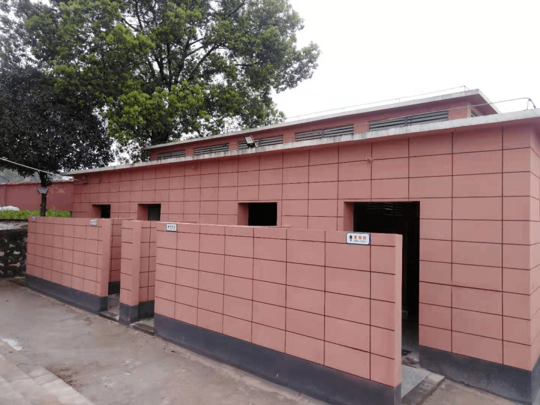 武汉学校成厕所革命死角人大代表将小事变温馨