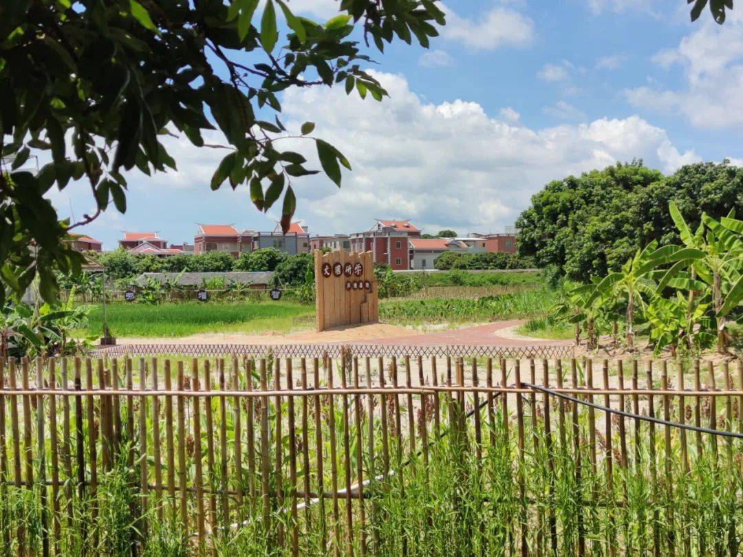 厦门文圃研学基地图片