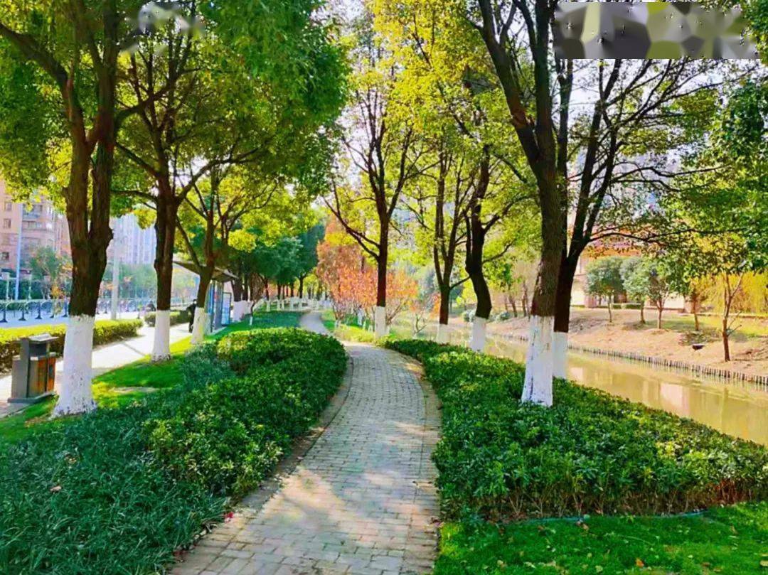 收藏花桥竟然有20个公园去过几个