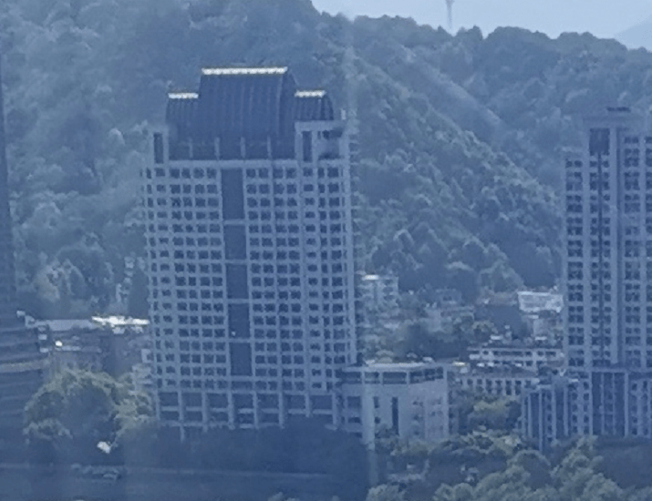 浙江昔日首富涉黑被判刑18年 丽尚国潮大股东将易主？(图1)