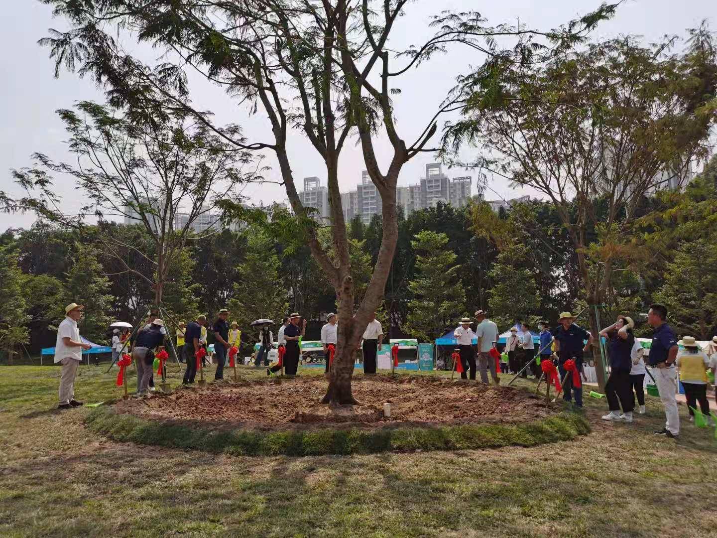 植树再添一片新绿!大坦沙岛中轴线示范段今年6月完工