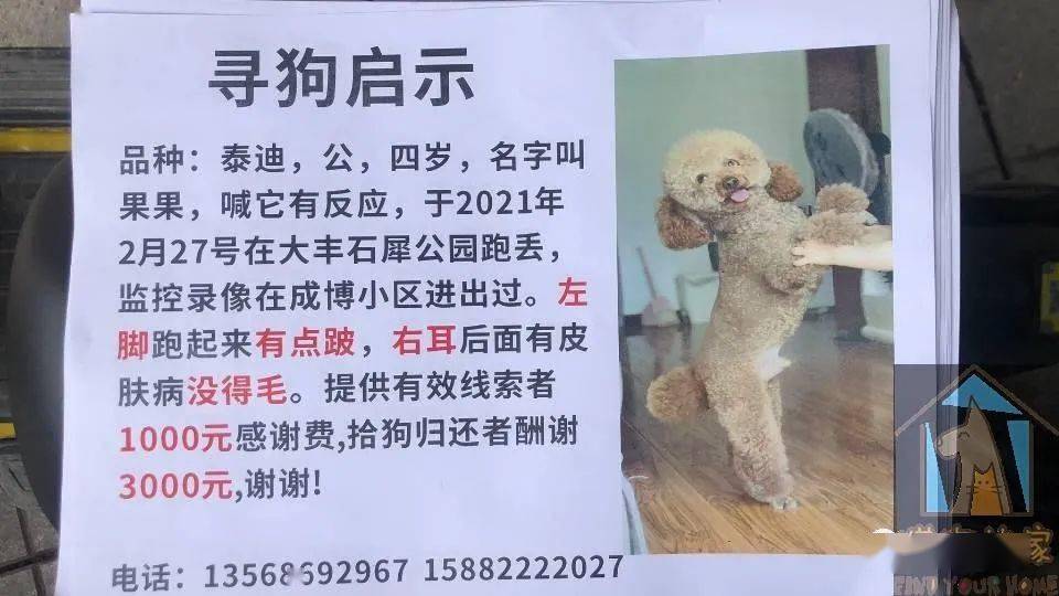 4月30日4844条【寻宠启示】