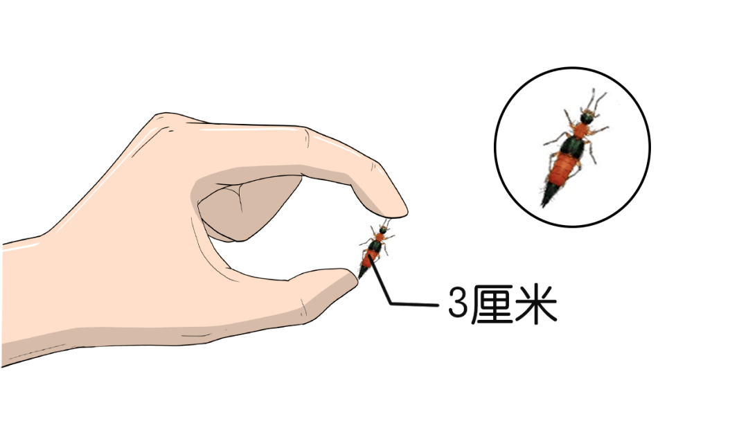 7fd46a3f18804173ad41907162b7ecdf.png