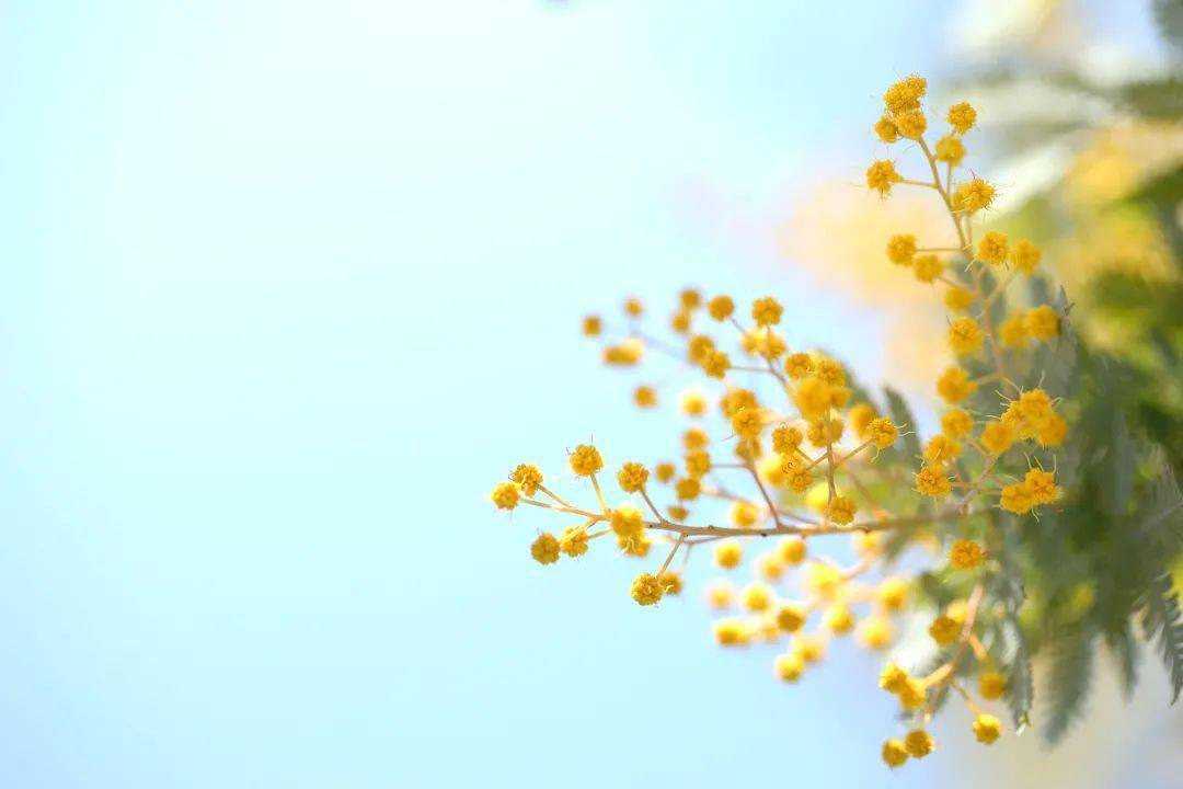 846ea9d3204b4f60830afb8e12dfc456.jpeg