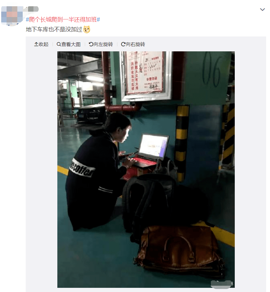 太扎心？女子景区中抱电脑边看风景边工作