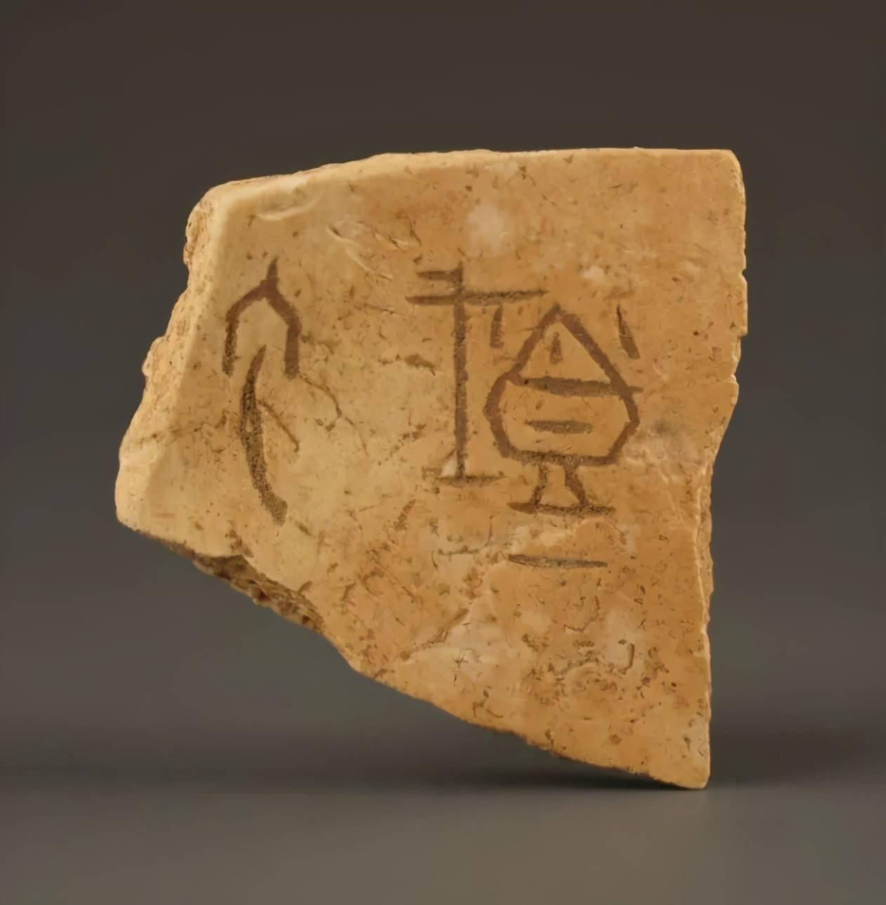 微距高清看甲骨文震撼眼球