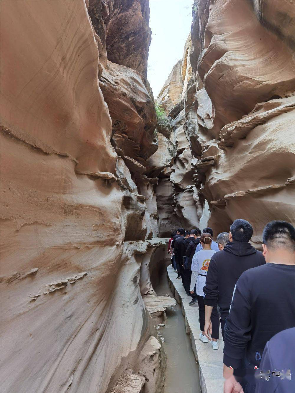 庆阳"黄土地缝奇观"黑河大峡谷景区开业运营