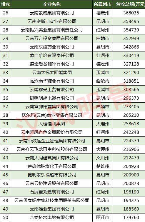 云南公司排名_云南白药公司图片