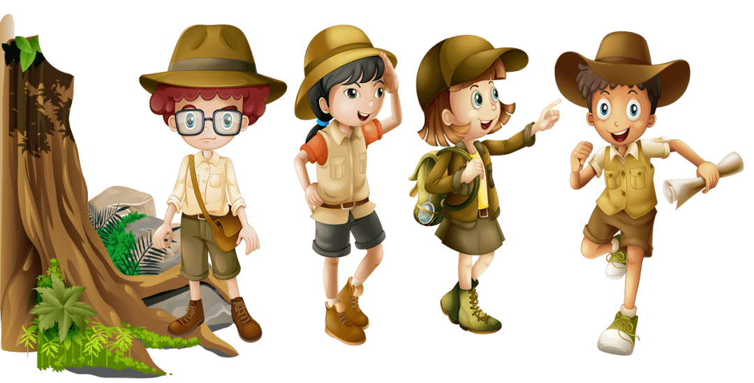 植物探险之旅马上开启!小伙伴们速登船啦!