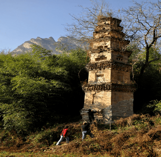 白河鎮位於洛陽市嵩縣南部,距縣城88公里,地處伏牛山核心區,處於兩市