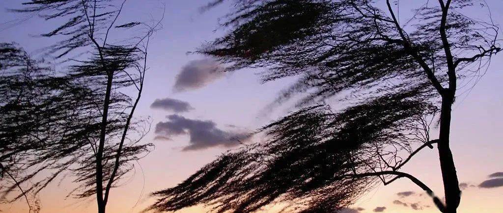 顺义发布大风蓝色预警,今起三天风力较大,请注意防护!