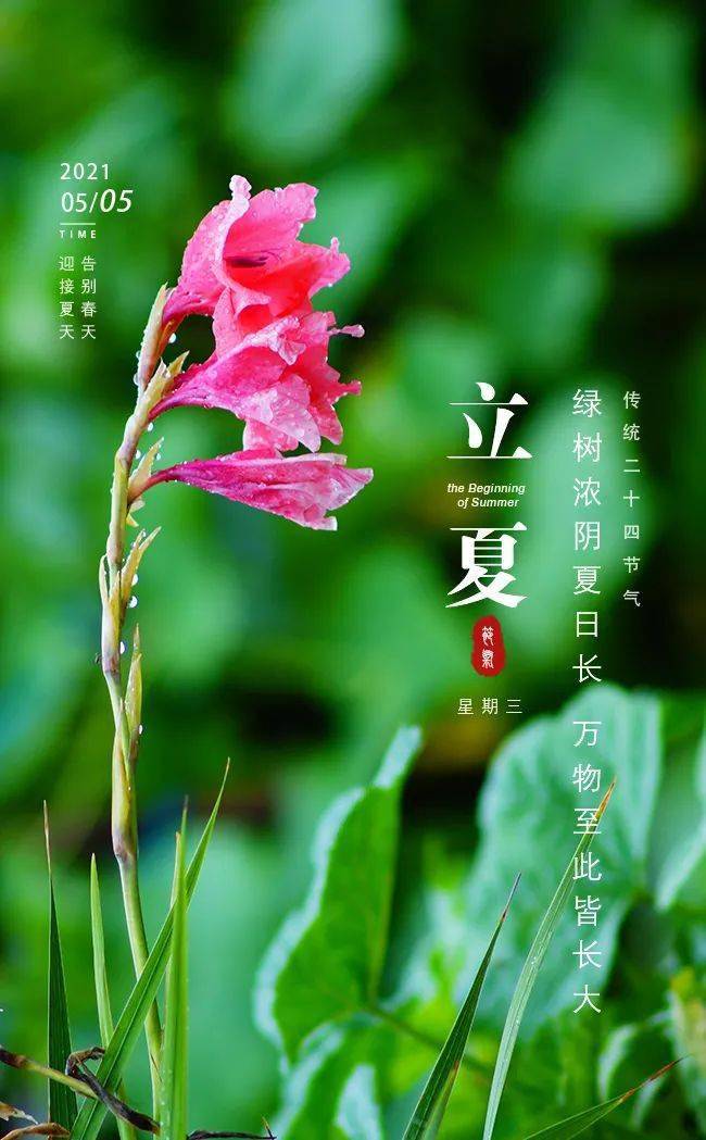 融媒在线立夏你好夏天