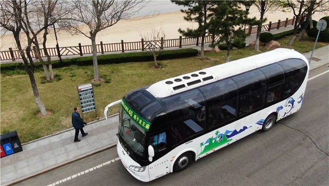hi视频46号最美环海路巴士你坐过吗