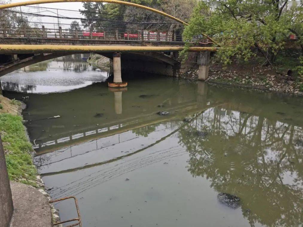 江西南昌生活汙水管網建設改造滯後大量生活汙水直排河道