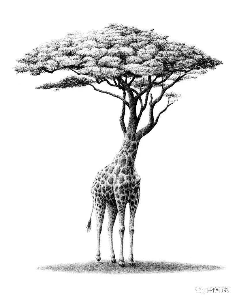 荷兰插画家奇思妙想的素描作品欣赏(续集)_创意