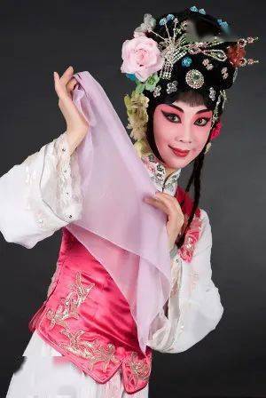 一张青衣脸,"嗓音非常贴近男旦的声线"(这句话是其师父梅葆玖大师说的