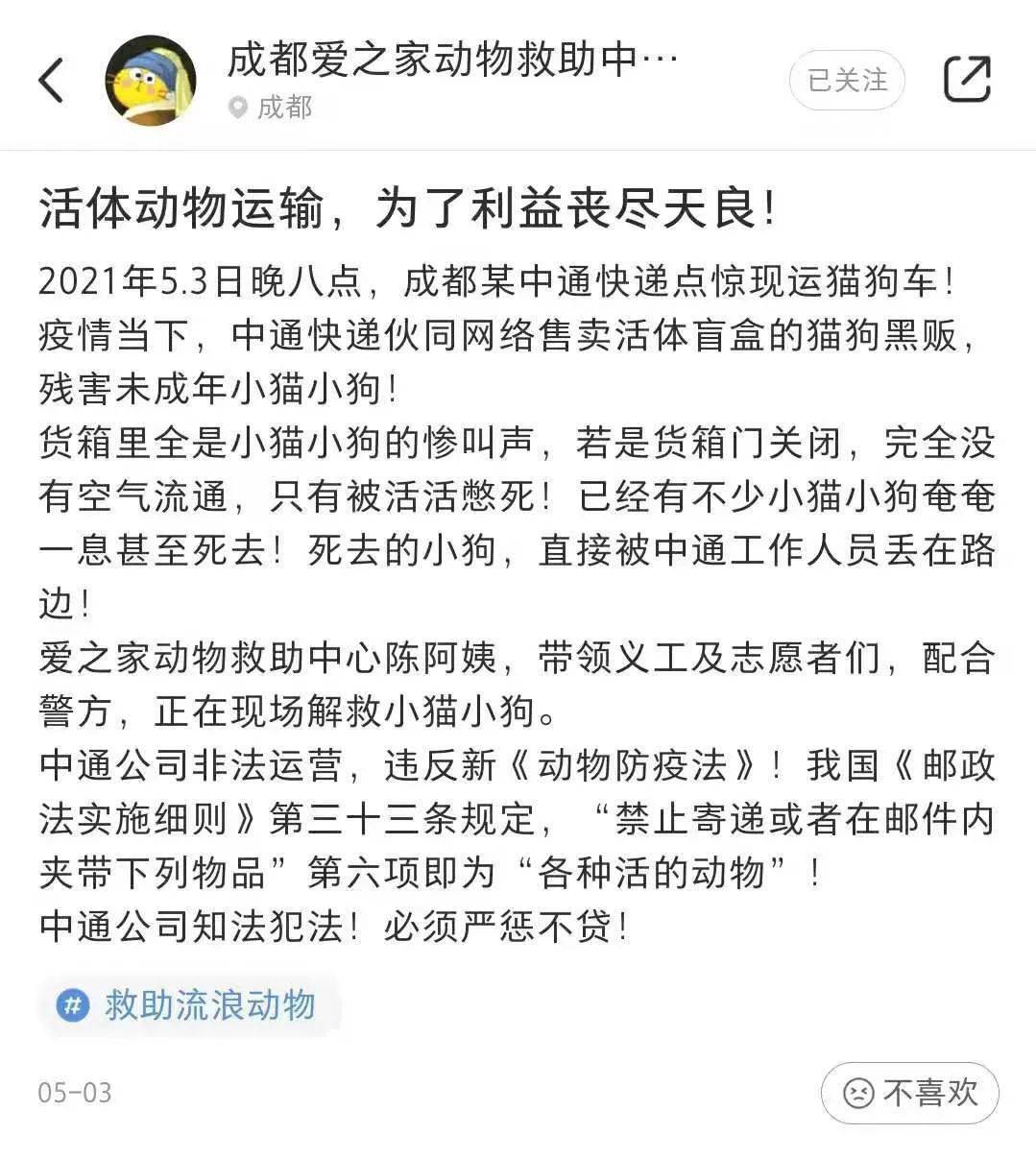 尊重和敬畏生命抵制宠物盲盒