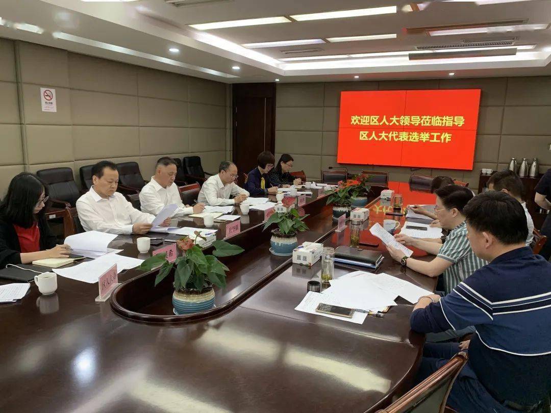 区人大代表选举工作指导组赴镇街指导选举工作_金国平