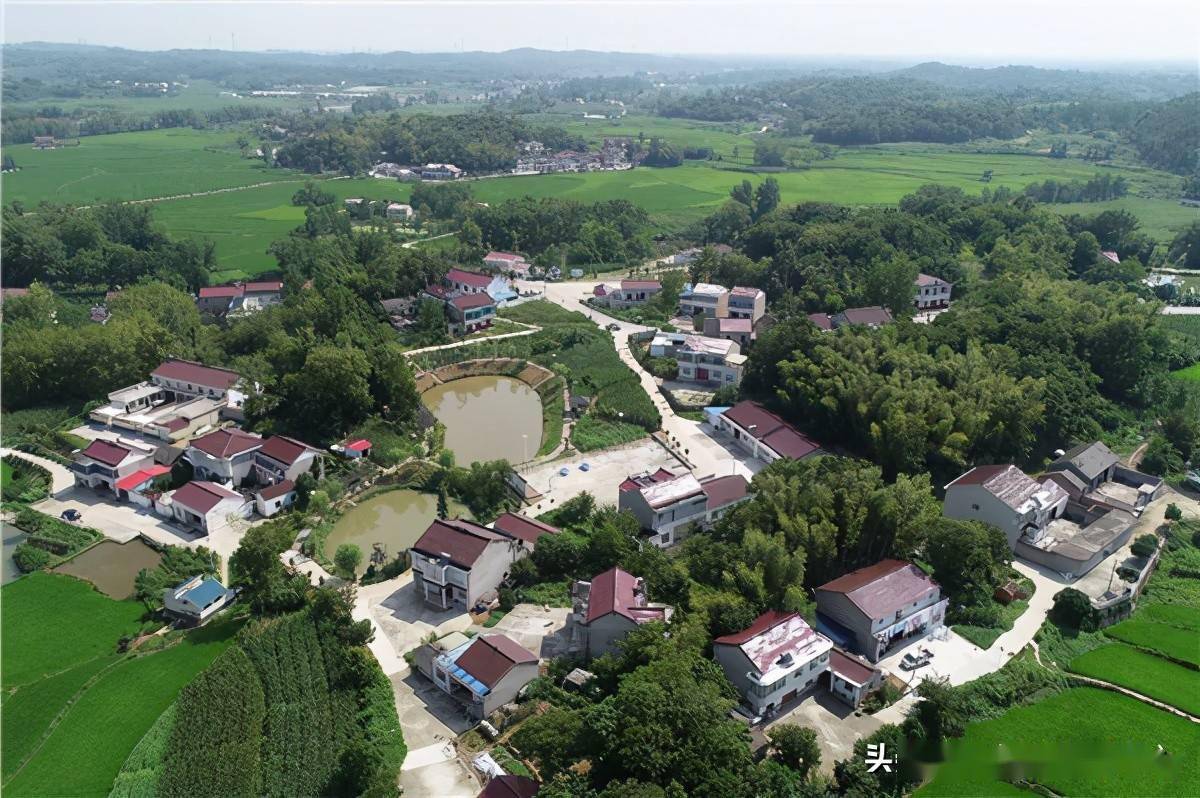 安徽六安金安区:"把脉"乡村提颜值