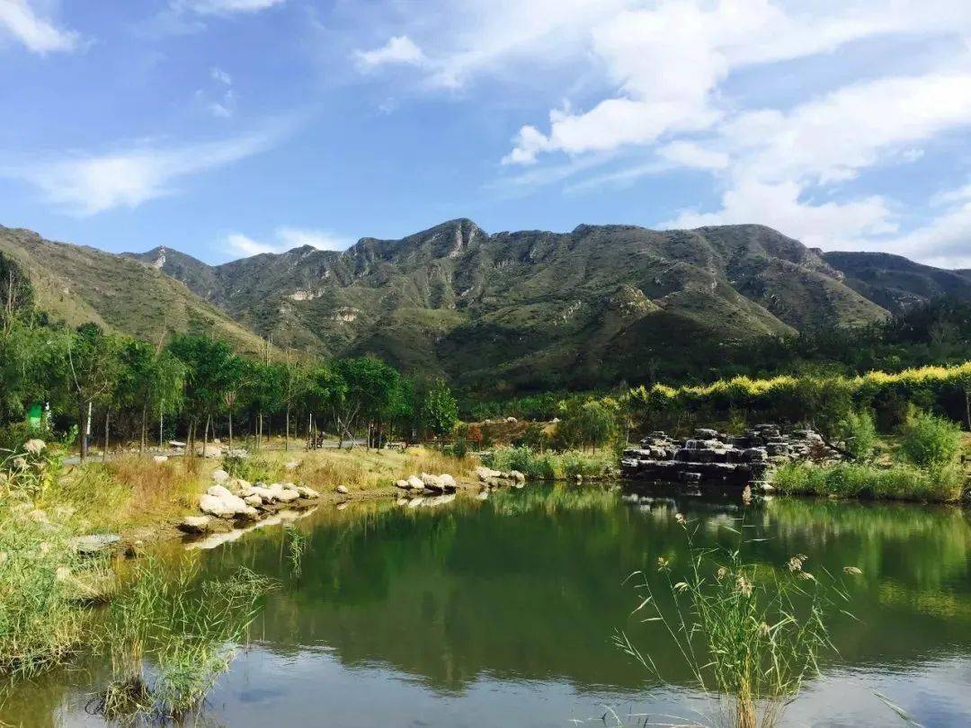 登淺山 賞花海,這個母親節帶媽媽踏青去!_順義