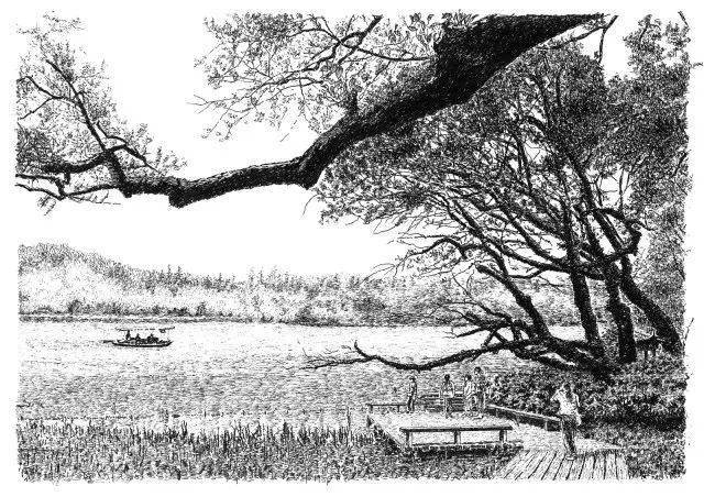 跟随黑白的钢笔线条,探寻别样的西湖美景