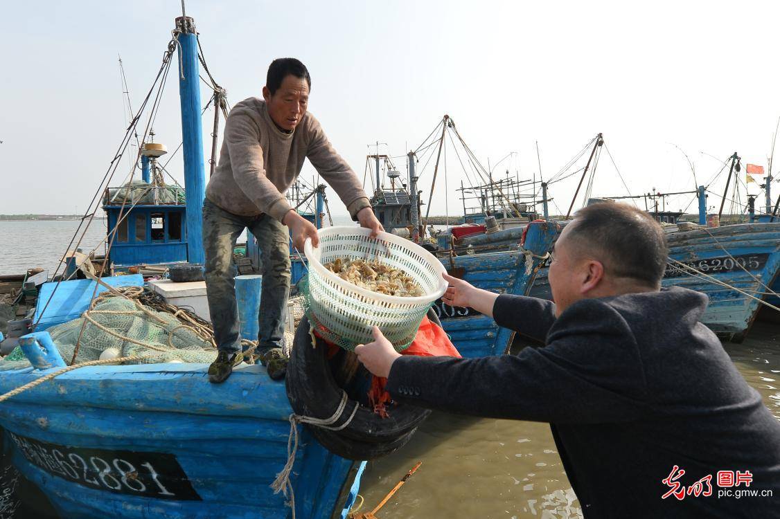 fishingportreadyforclosedfishingseasoninechinasshandong