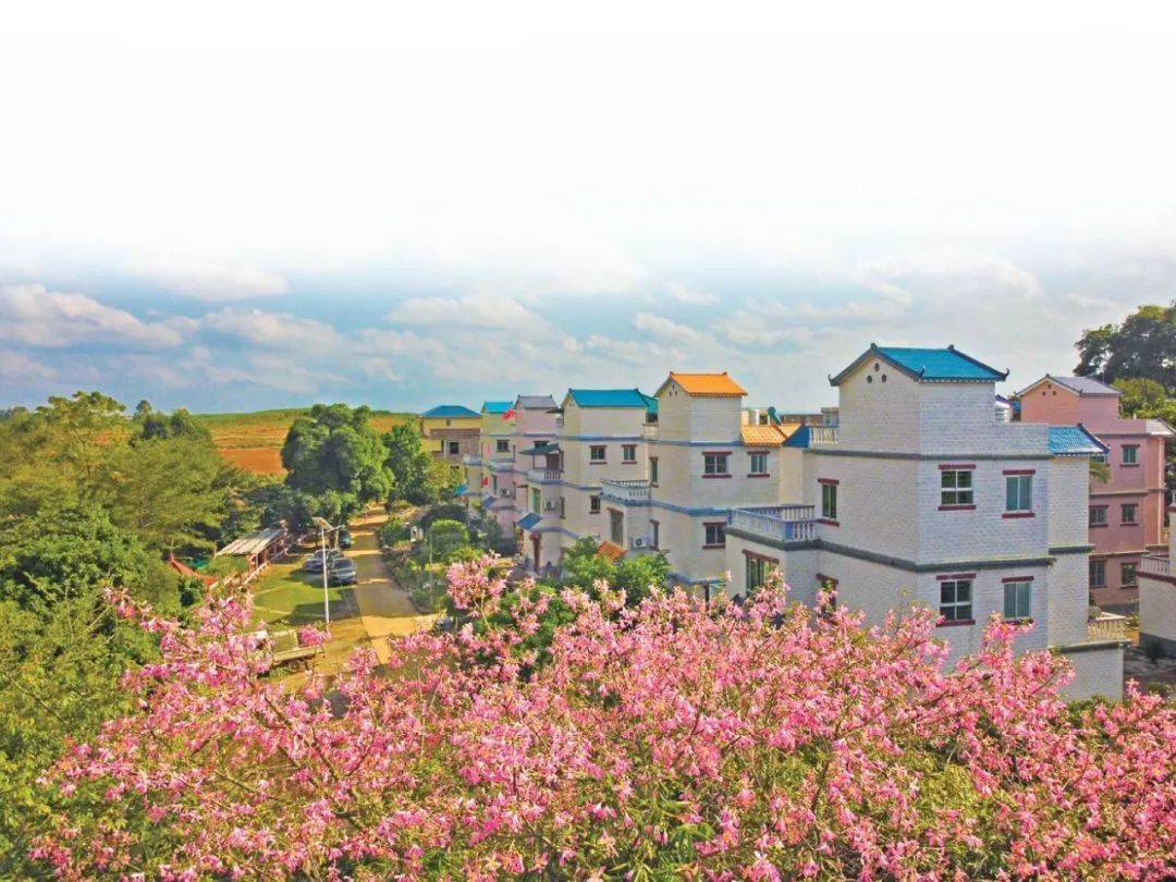 广西乡村振兴之路绘出"路线图"!今年将打造9万余家家庭农场