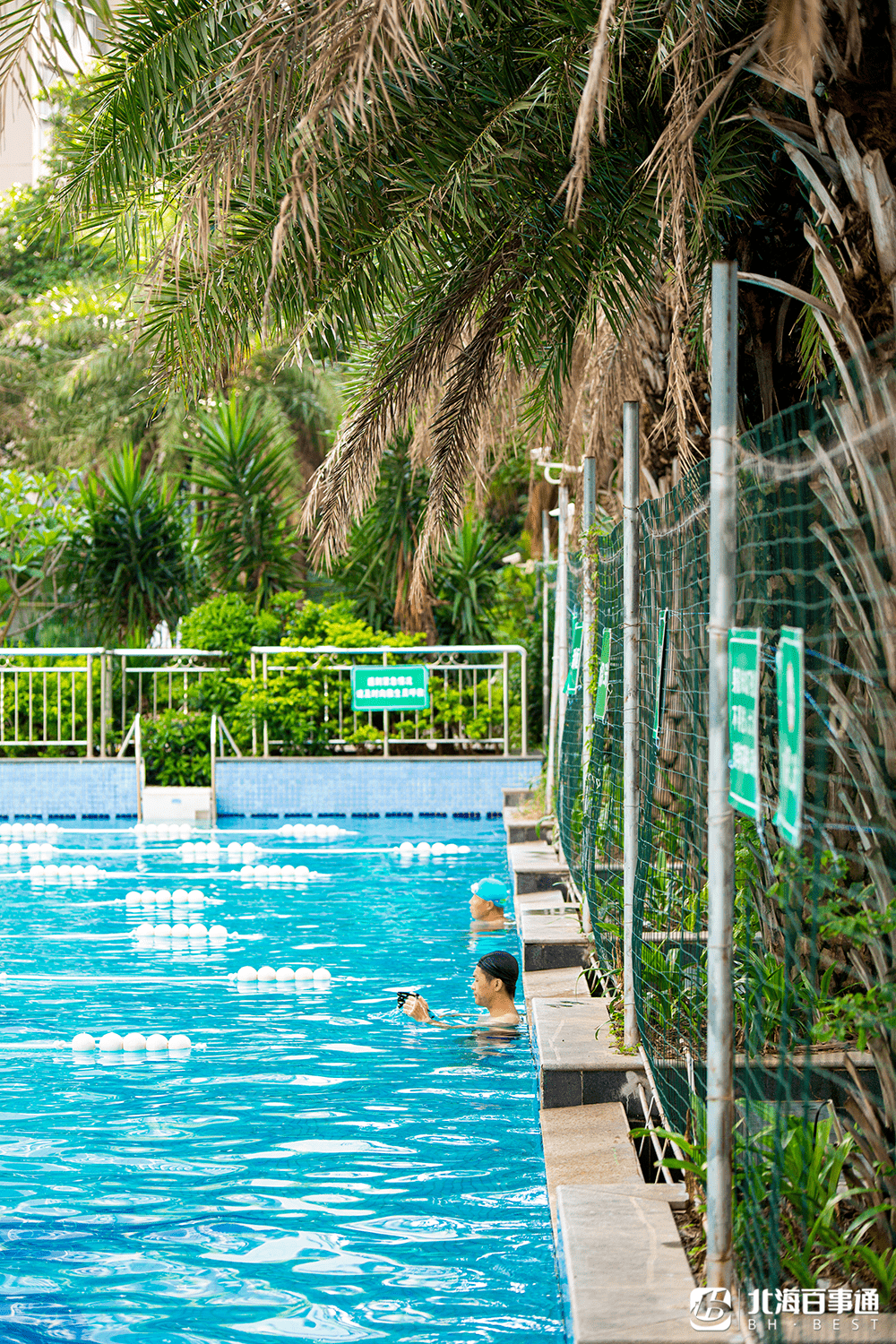 8元抢3次卡!北海2500 ㎡的露天花园泳池来了!_游泳