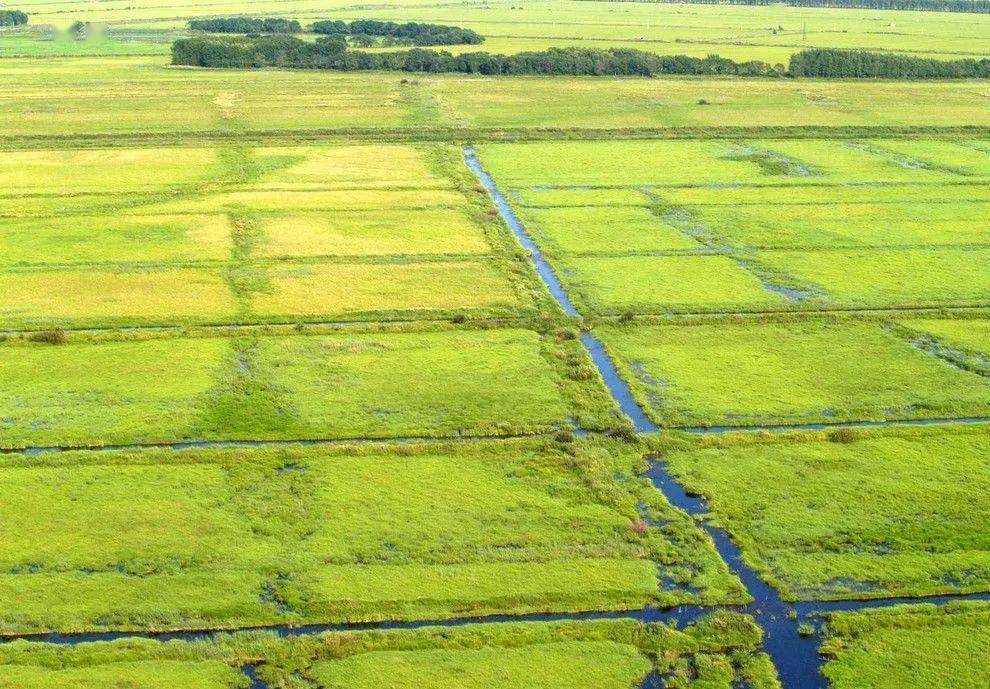 的土地制度为井田制,西周时期,道路和渠道纵横交错,把土地分隔成方块