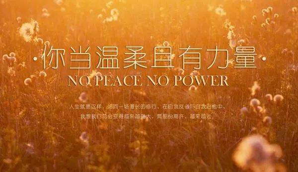 知足且上进温柔且坚定