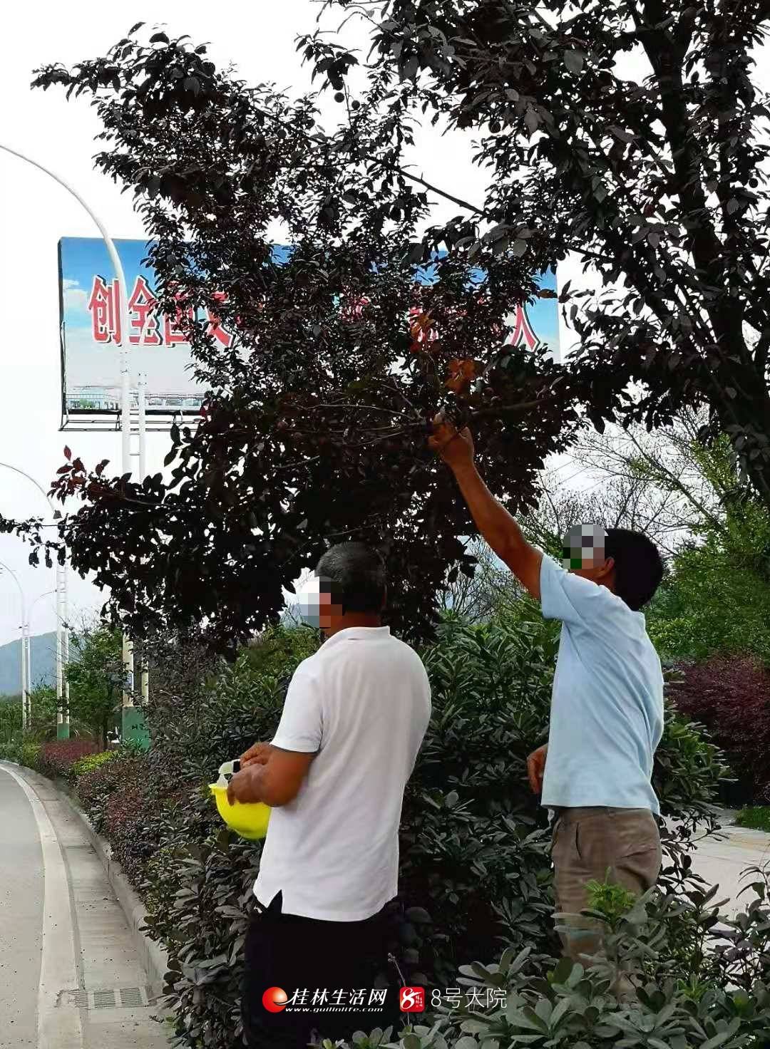 dnf刺客刷图__dnf刺客刷图疾驰需要点强制吗